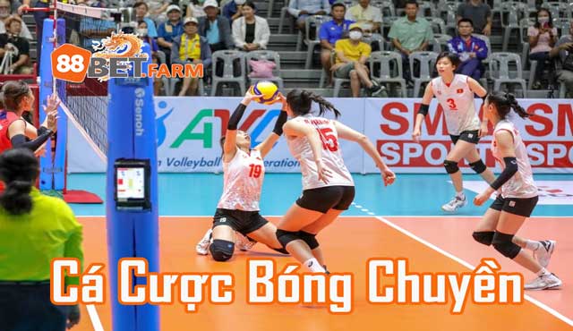 Cá Cược Bóng Chuyền