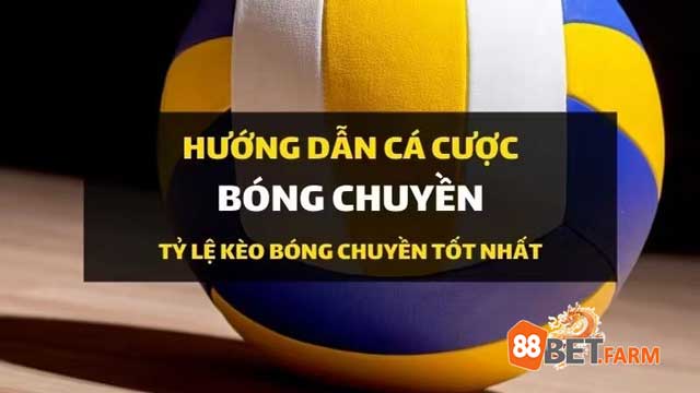 Hướng dẫn chơi cá cược bóng chuyền hiệu quả nhất