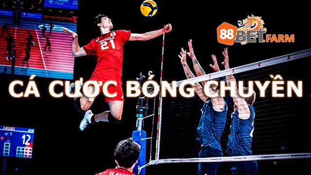 Luật chơi cá cược bóng chuyền cần nắm